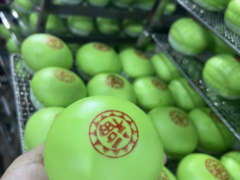 CUNG CẤP BÁNH BAO TẠI BÀ RỊA VŨNG TÀU CÓ HỖ TRỢ TỦ HẤP